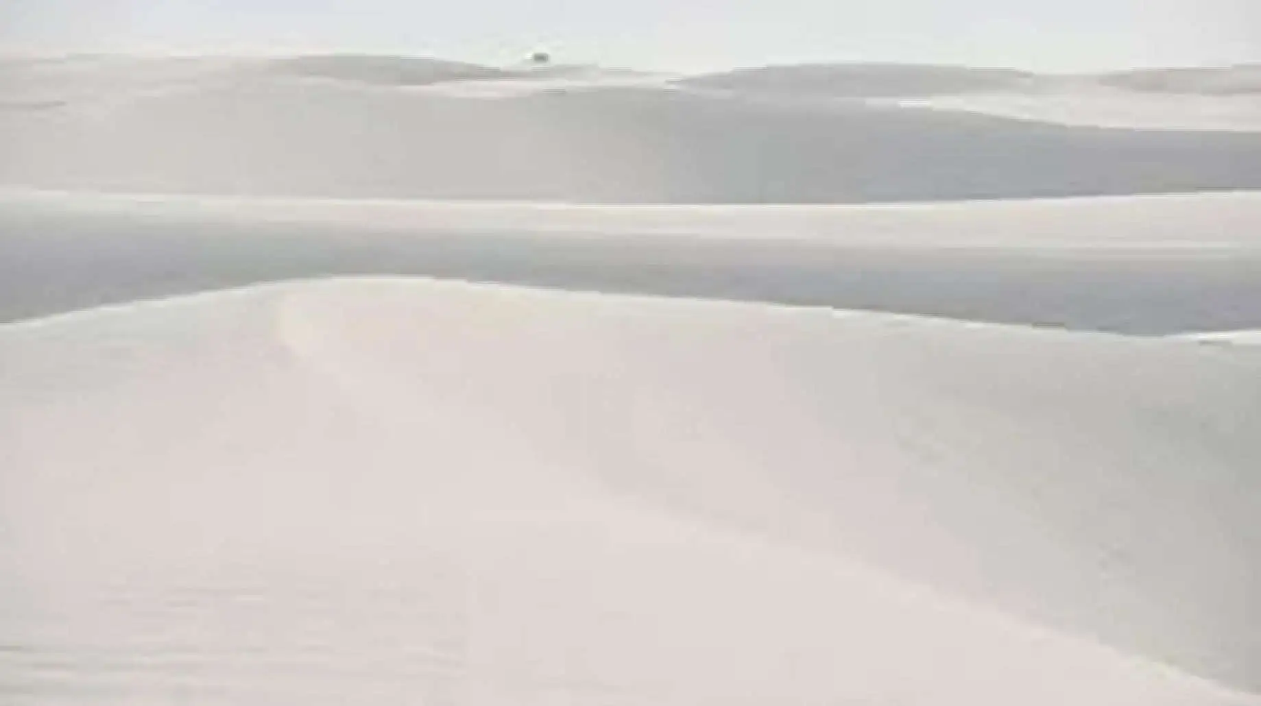 «مليارات الدولارات: تجارة غير قانونية تشكل تهديدًا عالميًا»